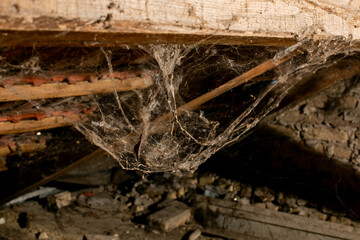 Old attic corner filled with dusty cobwebs, symbolizing Halloween decor or home cleaning challenges