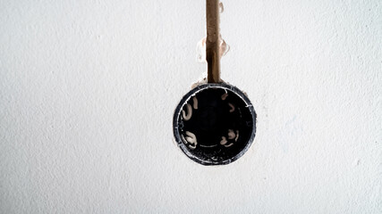 A close-up of an exposed pipe with visible maggots inside, highlighting plumbing issues and pest...