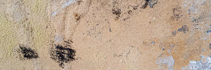 Close-up of mold and mildew growth on a beige wall surface representing dampness and water damage issues