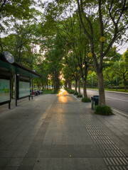 Serene Sunset Walkway Surrounded by Lush Green Trees