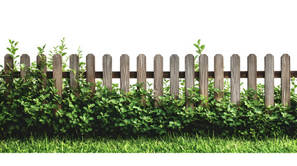 Obraz premium Photography of Decorative Garden Fence on Isolated White Background