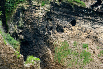 Obraz premium Tropical Paradise of Isla de los Pájaros, Panama, A Scenic Haven with Lush Vegetation, Wildlife, and Exotic Coastal Rock Formations in the Caribbean Sea