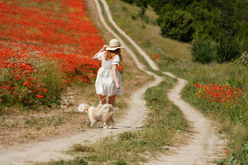 Fototapeta premium woman with dog. Happy woman walking with white dog the road along a blooming poppy field on a sunny day, She is wearing a white dress and a hat. On a walk with dog