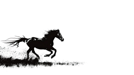 Silhouette of a horse on a white background