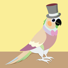 Pastel macaws soften the details.Parrott wear top hat, More colorful flat design.Yellow and brown backgorund.