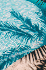 Obraz premium A serene view of swimming pool with vibrant blue water, showcasing intricate shadows of palm leaves dancing on surface. interplay of light and shadow creates tranquil summer atmosphere