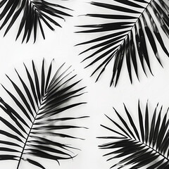Obraz premium Minimalist composition featuring palm leaves in strong contrast against white background, creating striking visual effect. arrangement emphasizes beauty of nature