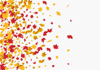 2400x17004__osen_3_01.eps