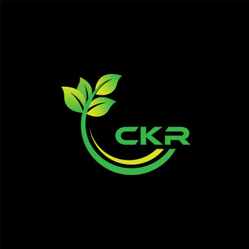 CKR Logo Design, Inspiration for a Unique Identity