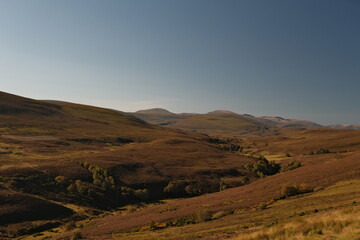 View of the Scottish Highlands in late summer