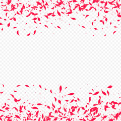 Pink_Petal_Flying_Vector_Transparent_299.eps