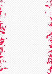 Obraz premium Pink_Petal_Flying_Vector_Transparent_882.eps