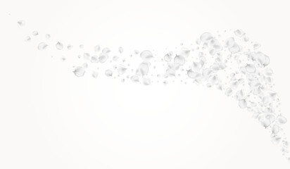 White_petals_gray_background_525.eps