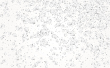 White_petals_gray_background_421.eps