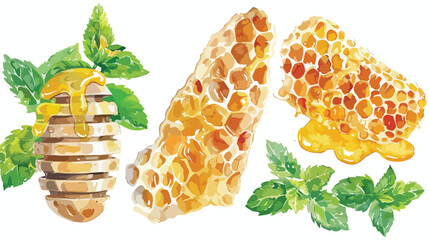 Watercolor Illustration of Honey Comb Ginger Mint Set on White Background