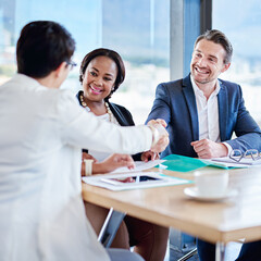 CEO, business people and handshake for deal, partnership or thank you for investment. Smile, agreement or team shaking hands with mature manager for project funding, b2b contract or success in office