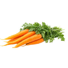 A bunch of fresh orange carrots with green leaves, cut out