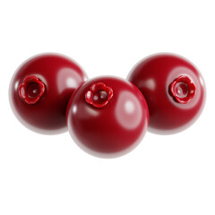 3D illustration of cranberry for celebrate fall. Celebrate fall. Autumn elements