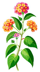 Colorful Lantana Flowers Illustration - Cluster of Pink, Yellow, and Orange Blooms with Lush Green Leaves, Ideal for Garden and Nature Themes, Lantana Vector Illustration, Lantana Illustration