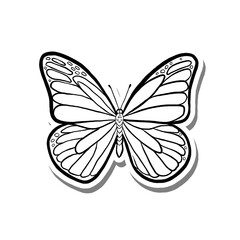 Beautiful Butterfly on white silhouette and gray shadow. Hand drawn cartoon style. illustration for decorate and any design.