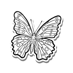 Butterfly Outline on white silhouette and gray shadow. Hand drawn cartoon style. illustration for decorate and any design.