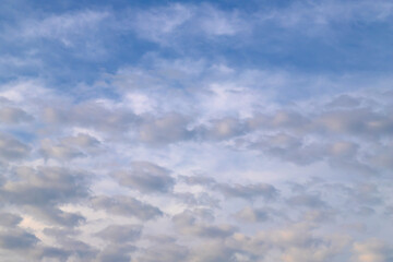 Beautiful blue sky with white Altocumulus undulatus clouds.