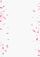 1785x2526-03__Violet_sakura3_01.eps