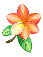 Exotic Plumeria Flower Illustration - Bright and Colorful Tropical Bloom with Pink and Yellow Shades, Ideal for Summer and Beach Themes, Plumeria Vector Illustration, Plumeria Flower Vector
, 



