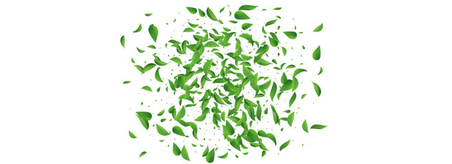 Leaves_Vortex_Flying_Vector_Background_165.eps