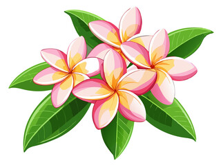 Exotic Plumeria Flower Illustration - Bright and Colorful Tropical Bloom with Pink and Yellow Shades, Ideal for Summer and Beach Themes, Plumeria Vector Illustration, Plumeria Flower Vector
, 



