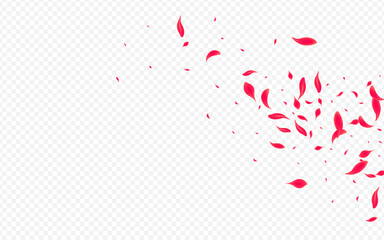 Pink_Petal_Flying_Vector_Transparent_1300.eps
