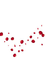 Red_Rose_Petal_Vector_Background_82.eps