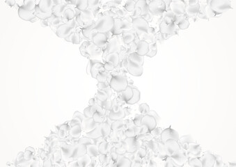 White_petals_gray_background_148.eps