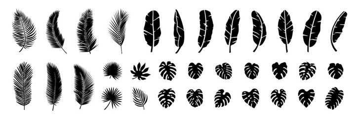 tropical leaf vector set. illustration graphic design art silhouette cut out collage banana leaf coconut leaf fan palm leaves monstera nature forest summer island vacation holiday travel hawaii aloha © athikom