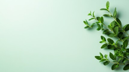 Obraz premium Fresh Green Leaves on Soft Green Background