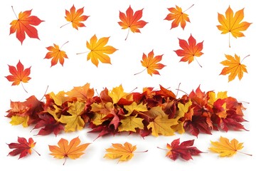 Fototapeta premium Dirt path through blooming meadow with purple flowers, sunlight filters through trees