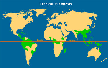 Tropical rainforests, rain forest in earth equator map.  Green trees location atlas. Oxygen climate earth. Monsoons followed by a dry season, Rainfall are moist deciduous forests . Vector illustration