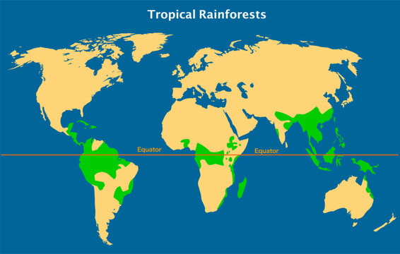 Tropical rainforests, rain forest in earth equator map.  Green trees location atlas. Oxygen climate earth. Monsoons followed by a dry season, Rainfall are moist deciduous forests . Vector illustration