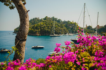 Panoramic landscape. Blue sky, azure sea, yachts, bright pink flowers. Tourist place - Portofino. Expensive vacation. Italian Riviera. Liguria
