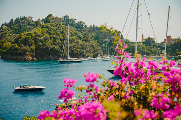 Panoramic landscape. Blue sky, azure sea, yachts, bright pink flowers. Tourist place - Portofino. Expensive vacation. Italian Riviera. Liguria