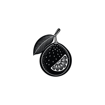 black and white fruit graphic clip art preview