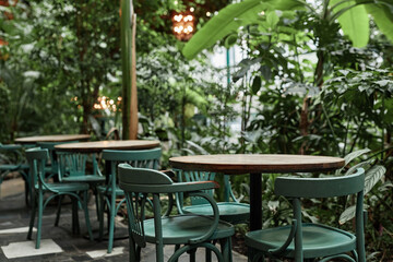 Wooden table and chairs in empty cafe with huge number of plants