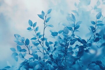 Blue color in natural form. Blue colored leaves.