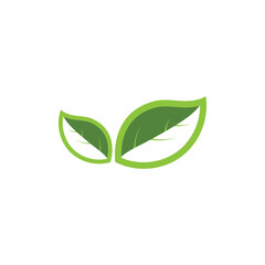 Natural leaf logo icon illustration