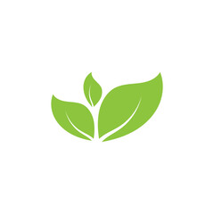 Natural leaf logo icon illustration