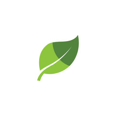 Natural leaf logo icon illustration