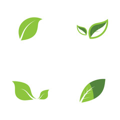 Natural leaf logo icon illustration