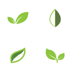 Natural leaf logo icon illustration