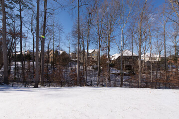 Woodland barrier in winter with large residential homes in the background. Winter holidays and home ownership concept.