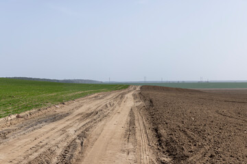 car tracks on a sandy road in a field, close-up
